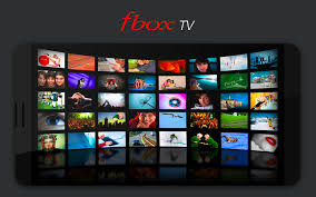 fbok tv